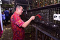 Commission IV of the Indonesian House of Representatives appreciated the success of twisted beak species carried out by PT. Anak Burung Tropikana, Bali.