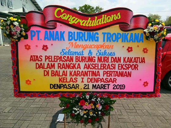 Mitra Balai KSDA Bali PT. Anak Burung Tropikana won the award for breeding the best protected wildlife in HKAN 2017 commemoration in Baluran National Park.